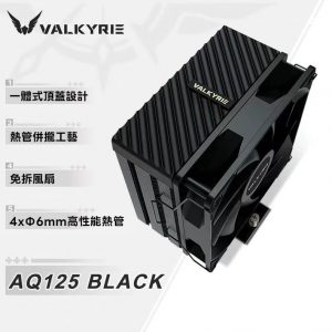 VALKYRIE 瓦爾基里 AQ125 散熱器 無光版 風冷散熱器